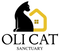 Oli cat sanctuary