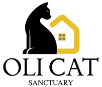 Oli cat sanctuary